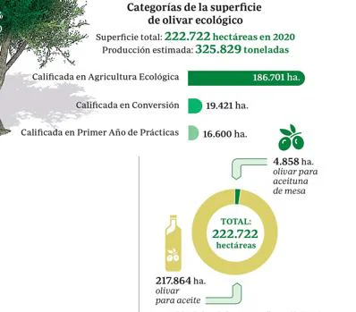 España, un país verde: lidera la agricultura ecológica en Europa pero aún suspende en consumo