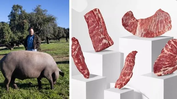 Carne fresca de montanera: dónde encontrar los cortes sibaritas y desconocidos del cerdo ibérico