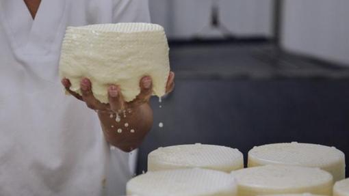 Queso fresco