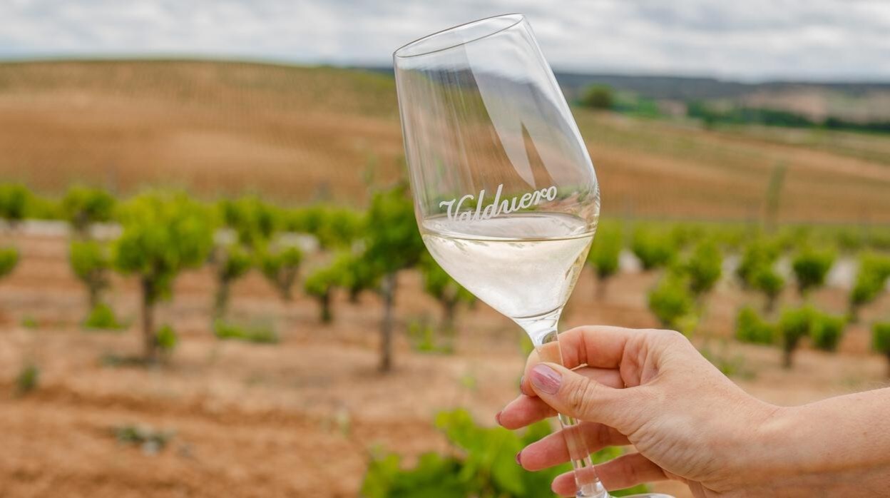 El vino proviene de viñedos con más de 20 años de antigüedad