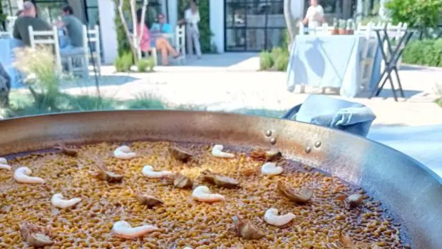 Dónde comer en Ibiza este verano: chiringuitos, sol, playa, gran ambiente y buena mesa