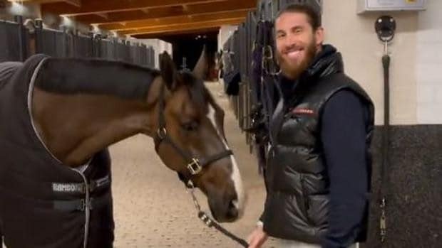 La última excentricidad de Sergio Ramos: este es el caballo por el que ha pagado 1,5 millones de euros