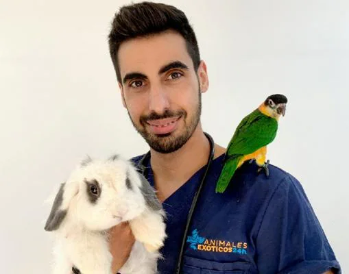 Javier Fernández, el veterinario y copropietario de Animales Exóticos 24 horas