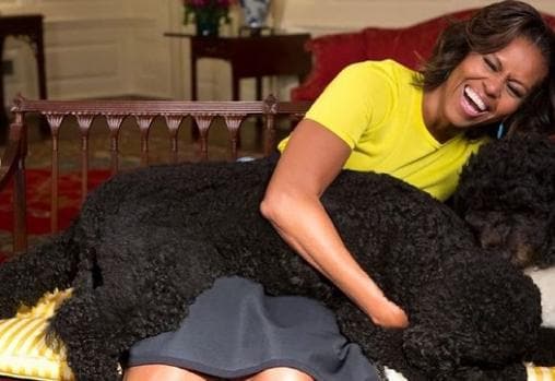 Michelle Obama junto a su mascota Bo