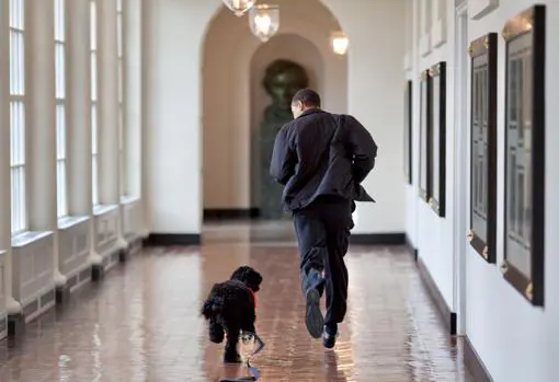 Barack Obama corre por los pasillos de la Casa Blanca junto a su perro