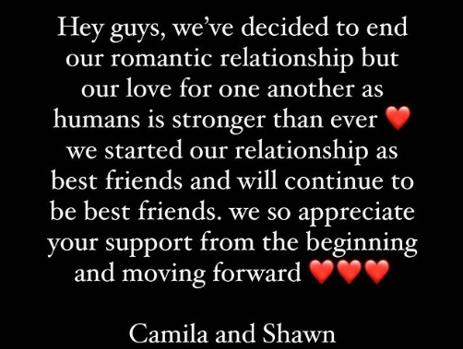 Shawn Mendes y Camila Cabello, se acabó el amor