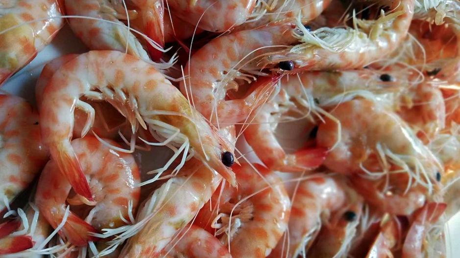 El langostino de Chiclana ya tiene su propia marca