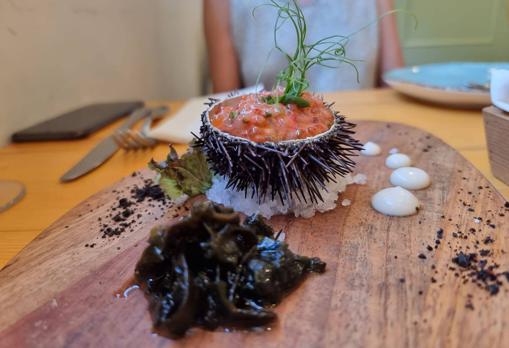 Tartar de carabineros en erizo de mar