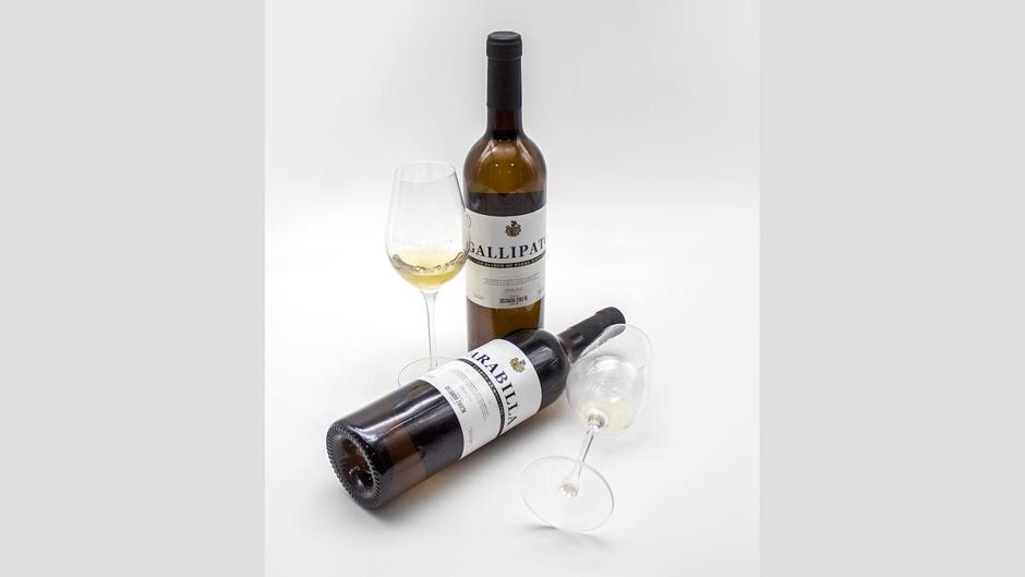 Gallipato y Tarabilla, los vinos de Delgado Zuleta