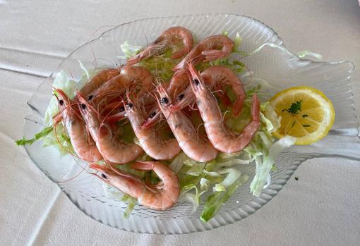 El plato de gambas