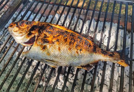 Uno de los besugos, en la parrilla