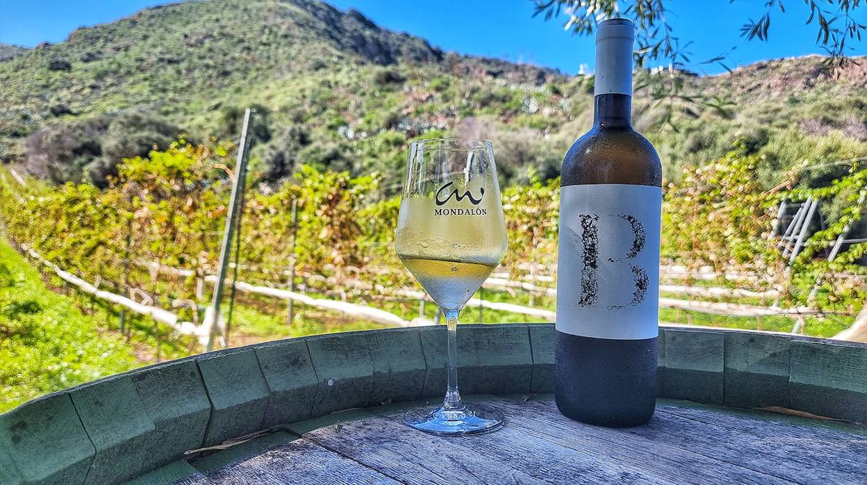 El vino blanco de Bodegas Mondalón, junto a las viñas, en Tafira Alta