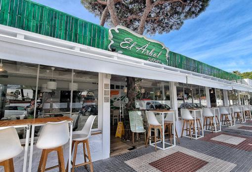 Terraza exterior, con el árbol que le da nombre