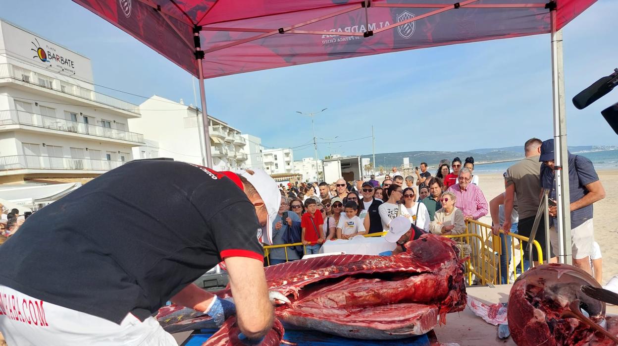 Barbate se corona &#039;Capital del Atún&#039; gracias a su Ruta y Semana Gastronómica