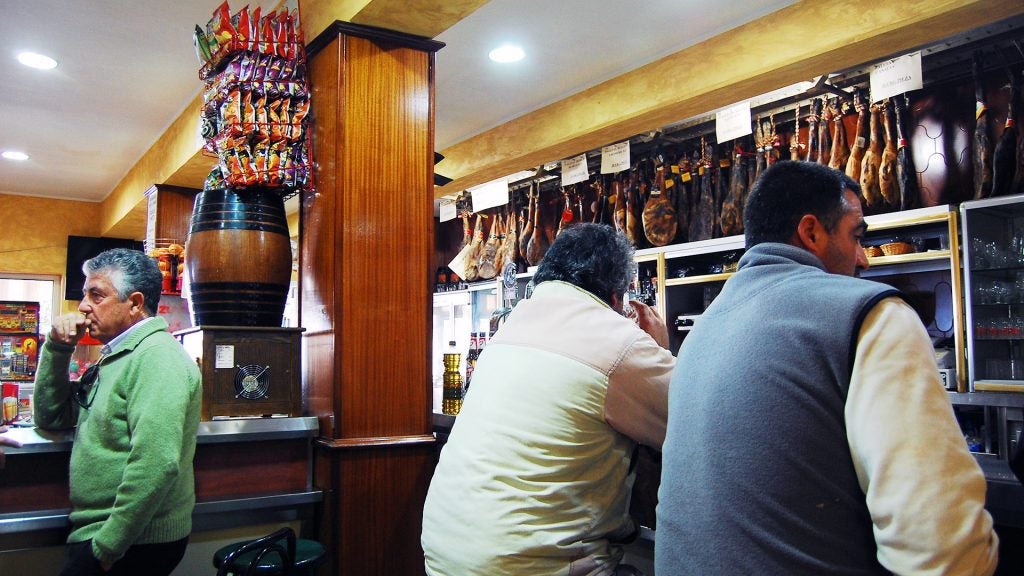 gato-gurme-cadiz (2). 