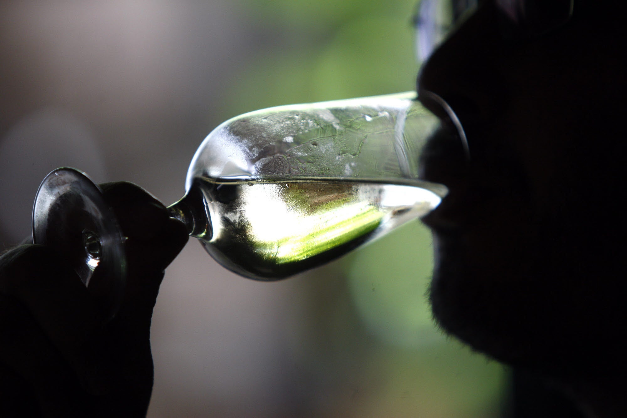 Comienzan las Jornadas del Vino Fino