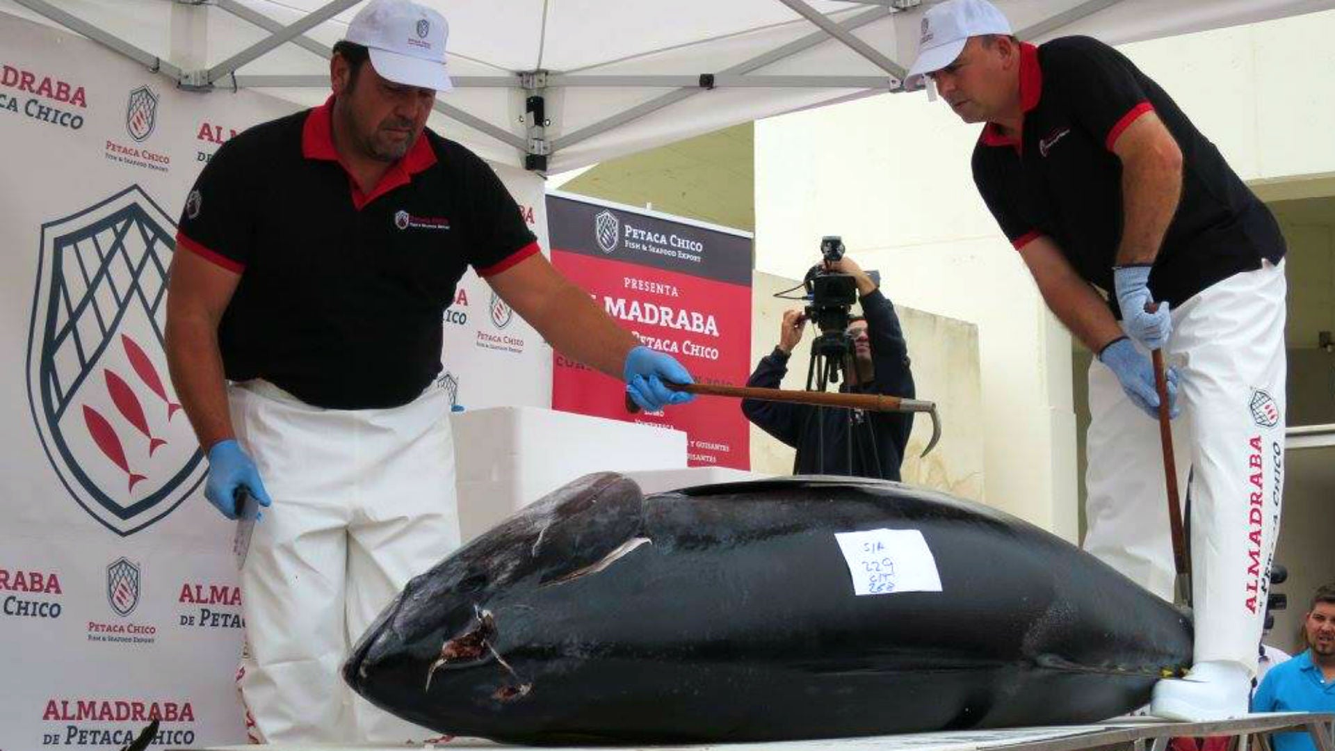 Petaca Chico anima a participar en la Ruta del Atún de Conil con el Golden Tuna