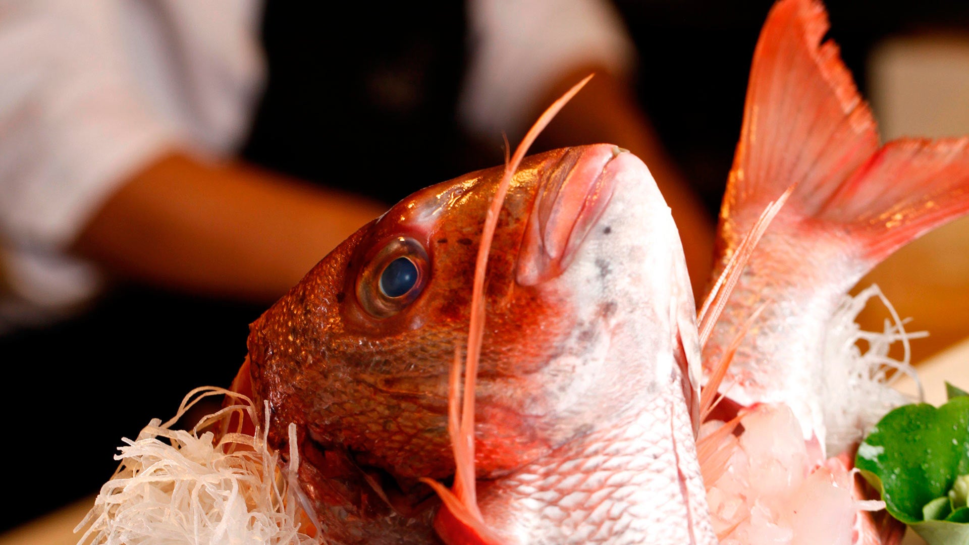 Todo sobre Restaurante Kabuki Raw en Finca Cortesin