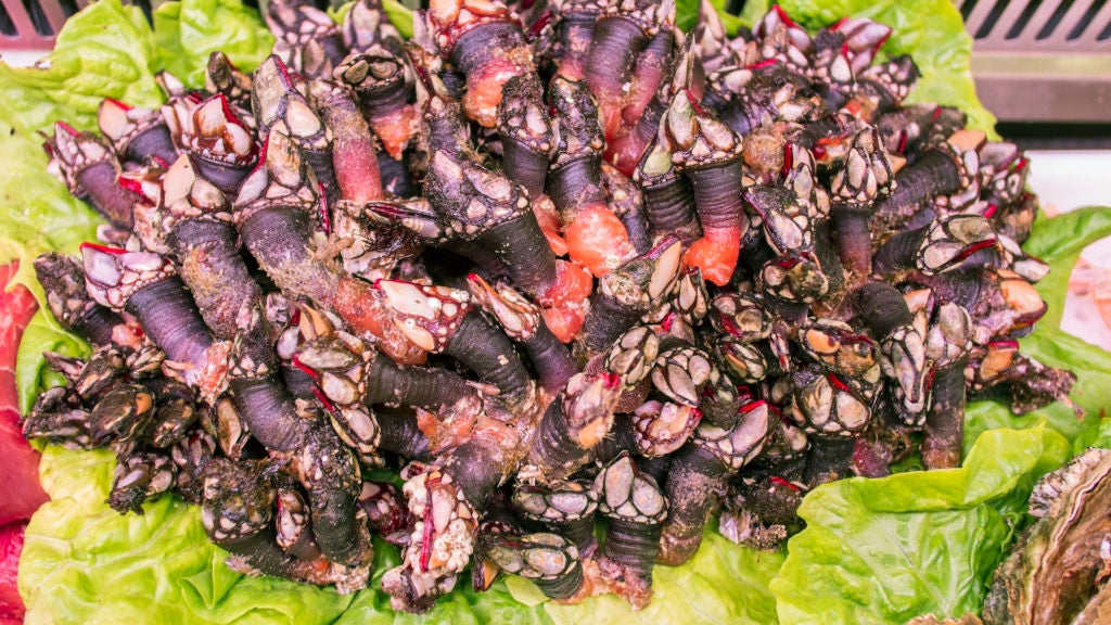 restaurante jacinto en malaga 9. 