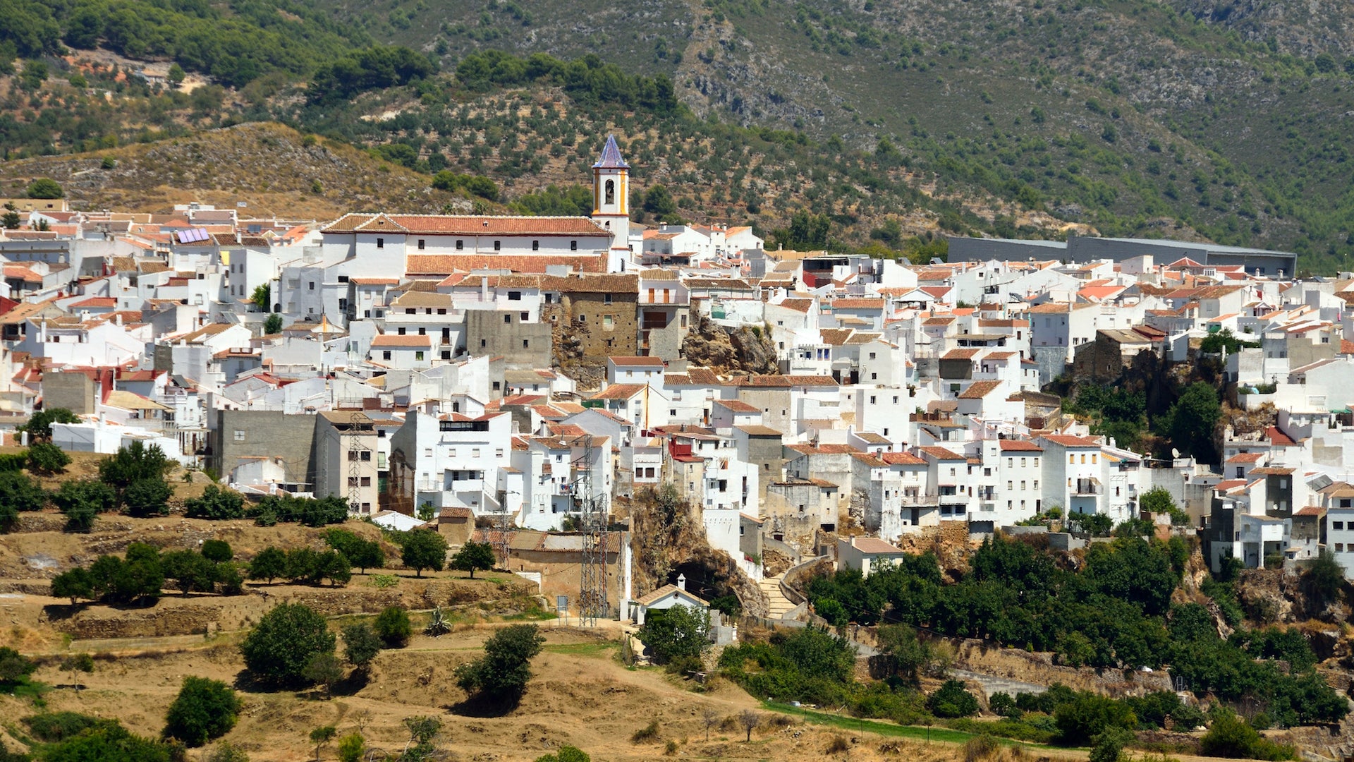 10 fiestas gastronómicas en Málaga que no te querrás perder este otoño