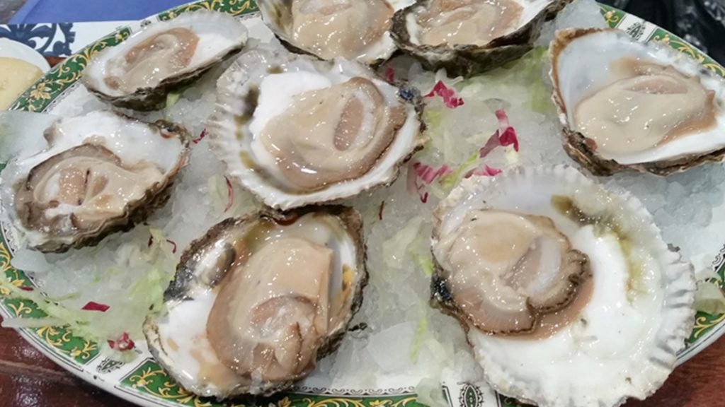 RESTAURANTE EL ENVERO 5. 