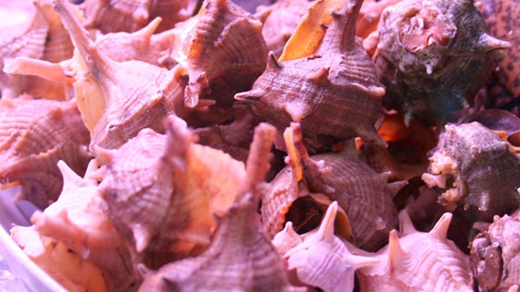 restaurante el envero 6. 