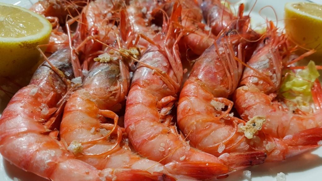 restaurante el envero 8. 