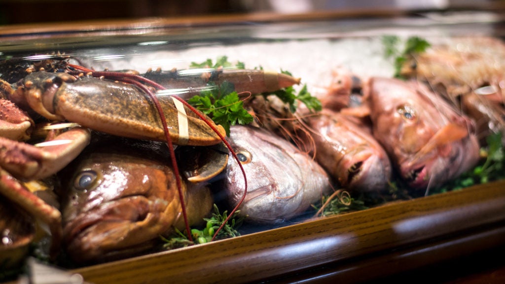 El Mesón de Andrés en Fuengirola. El Mesón de Andrés en Fuengirola