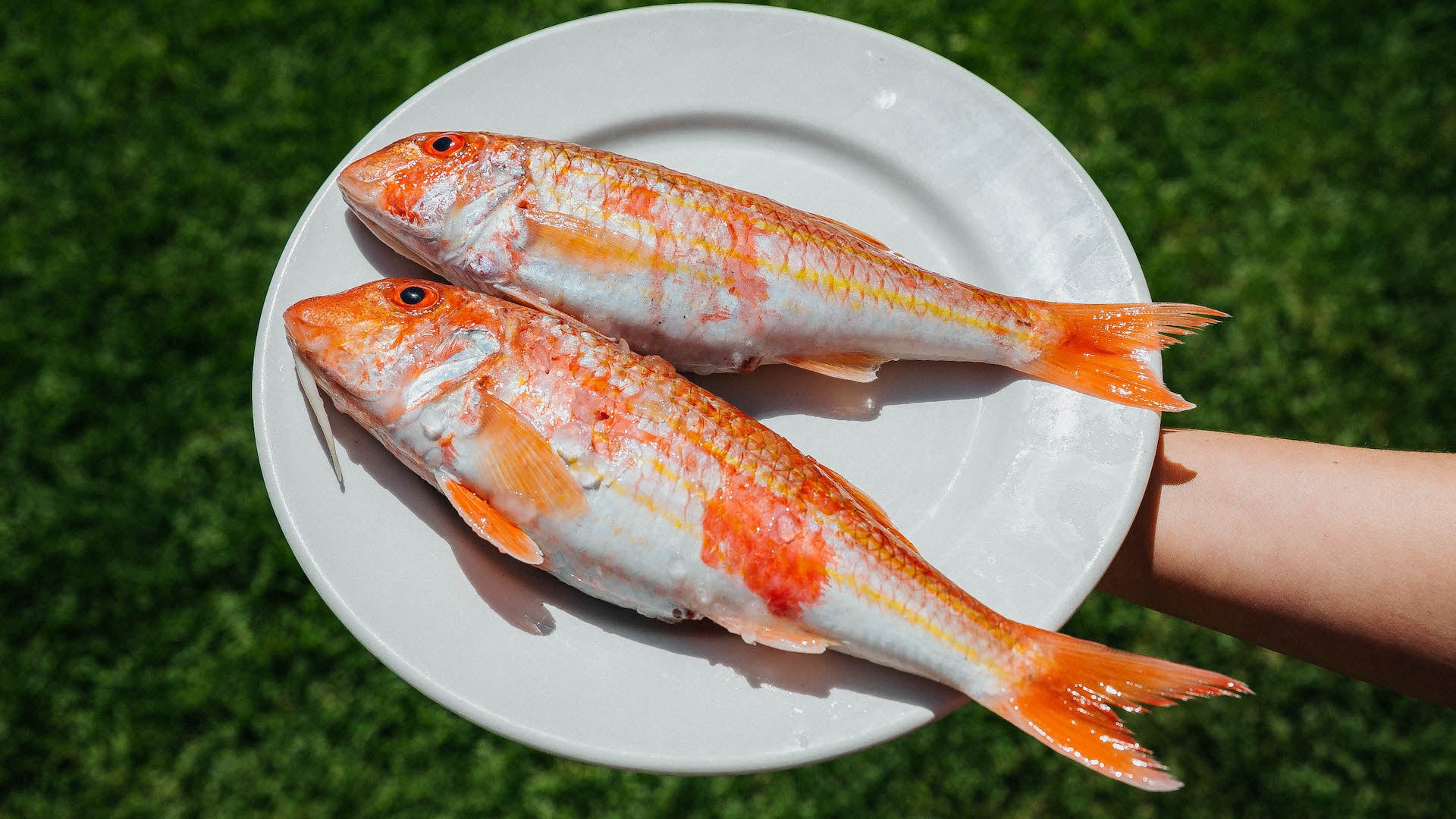 La Plata Casa Matilde, en Benajarafe, uno de los mejores chiringuitos de la Costa del Sol