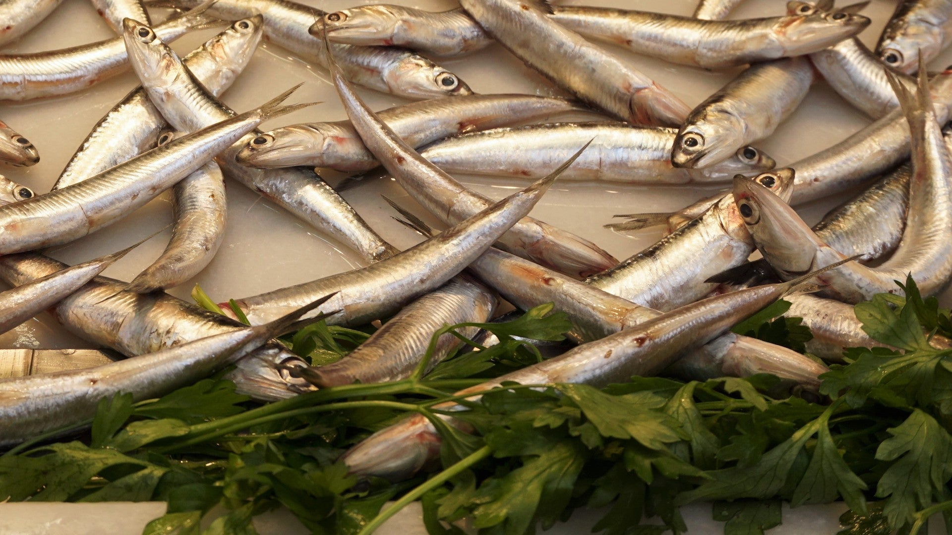 Fiesta del Boquerón Victoriano en Rincón de la Victoria 