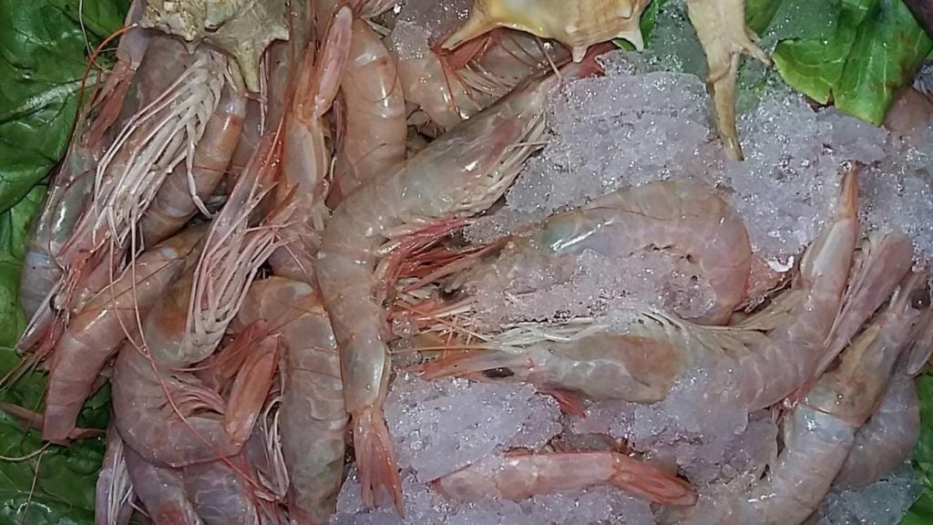 marisqueria doramar puerto en malaga capital 12. 