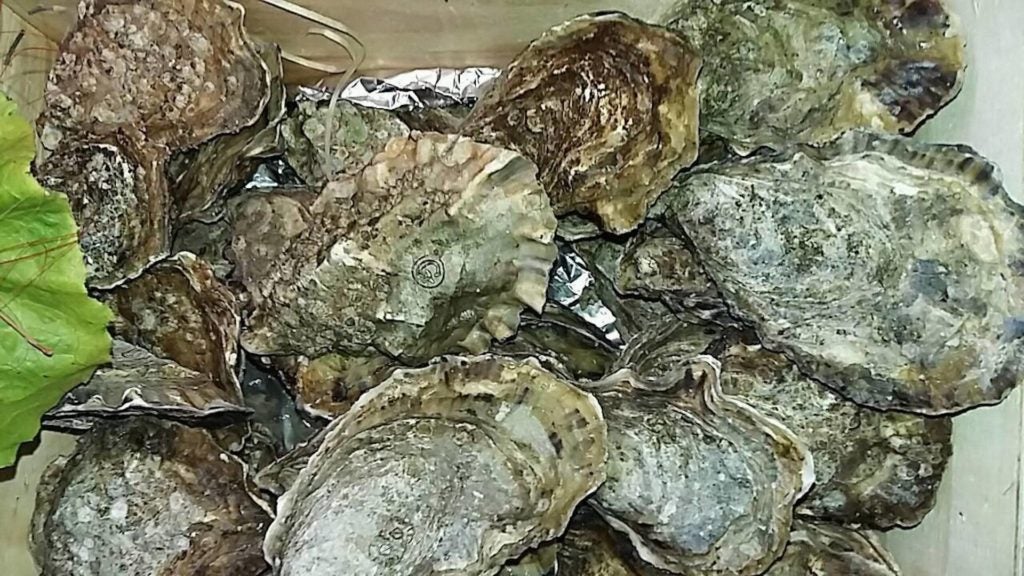 marisqueria doramar puerto en malaga capital 8. 