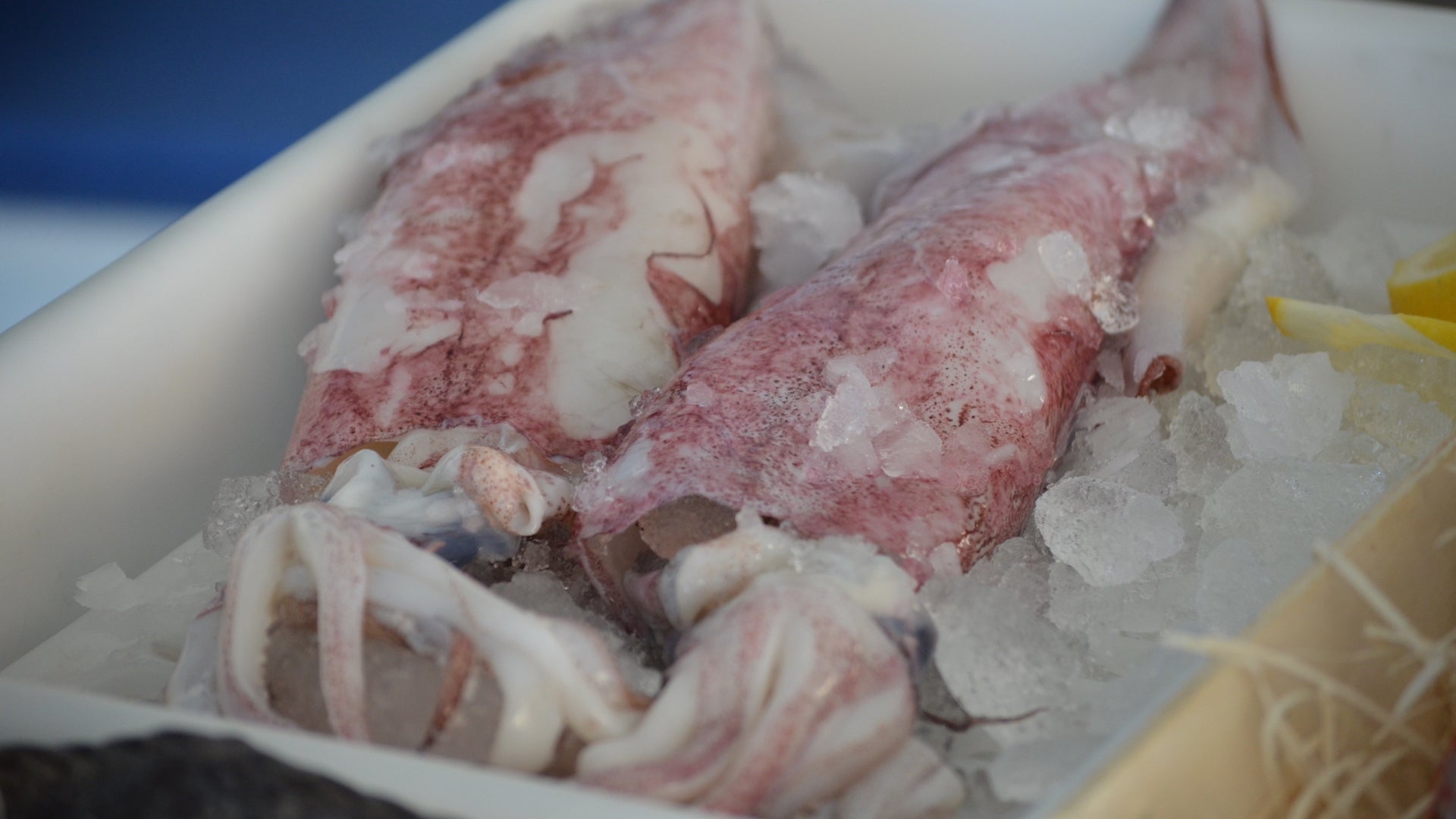 Restaurante Mediterráneo en Benajarafe, una casa de comidas marinera