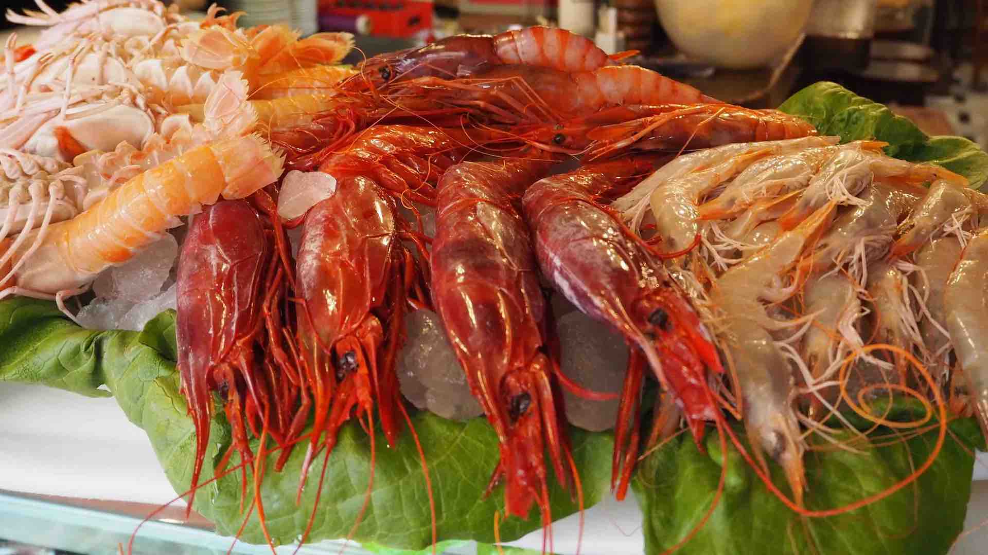 Los secretos de… El marisco de Noray II