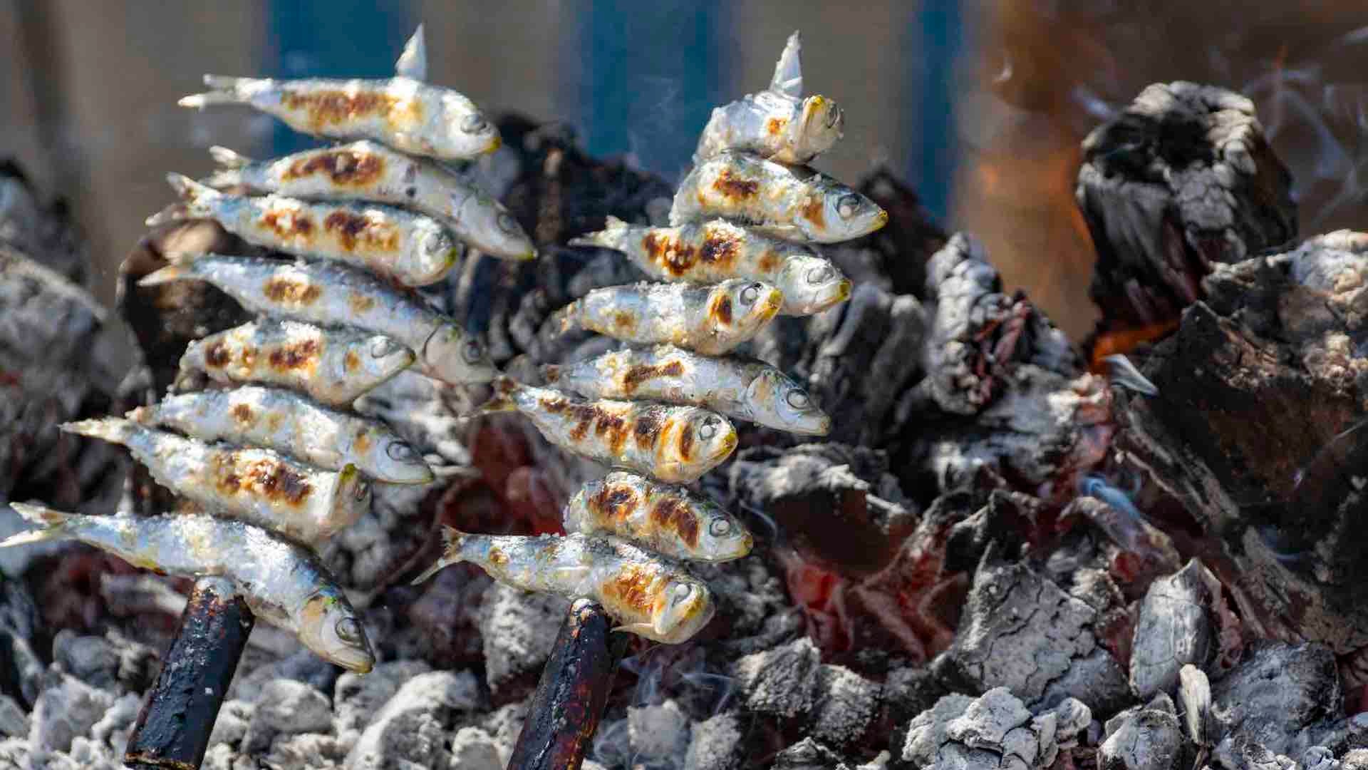 Espetos en Málaga y provincia: Chiringuitos y restaurantes donde comer las mejores sardinas