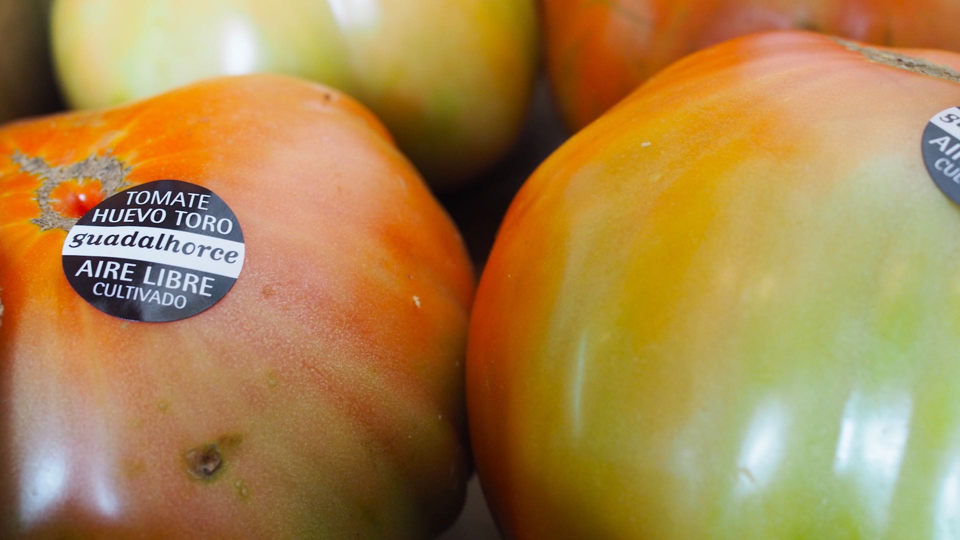 Arranca la ruta gastronómica del tomate huevo de toro