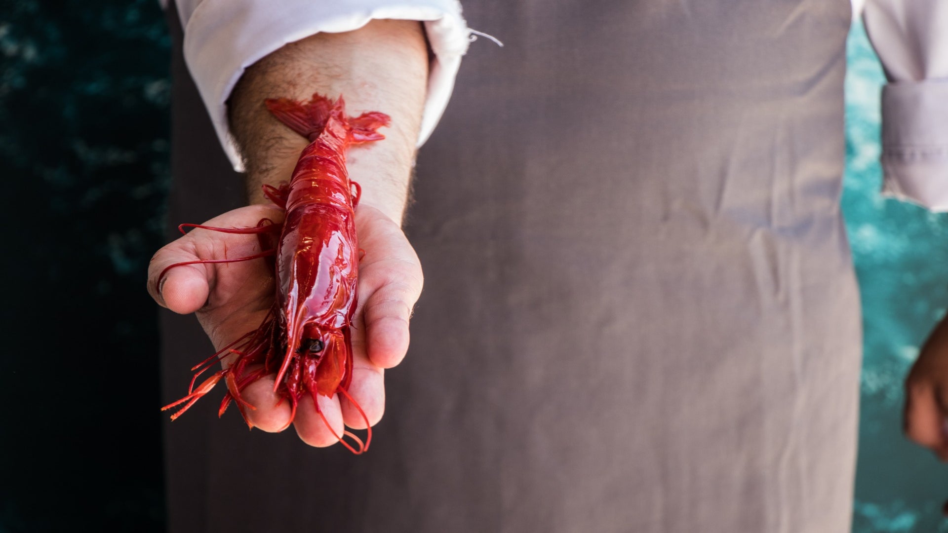 Mar de Verum abre sus puertas en Málaga