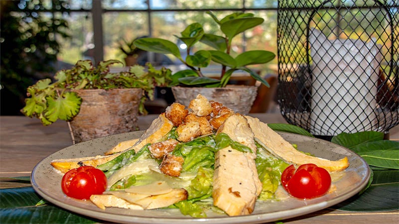 95a52546-b75d-4f77-a332-3a445ae1cf58. 