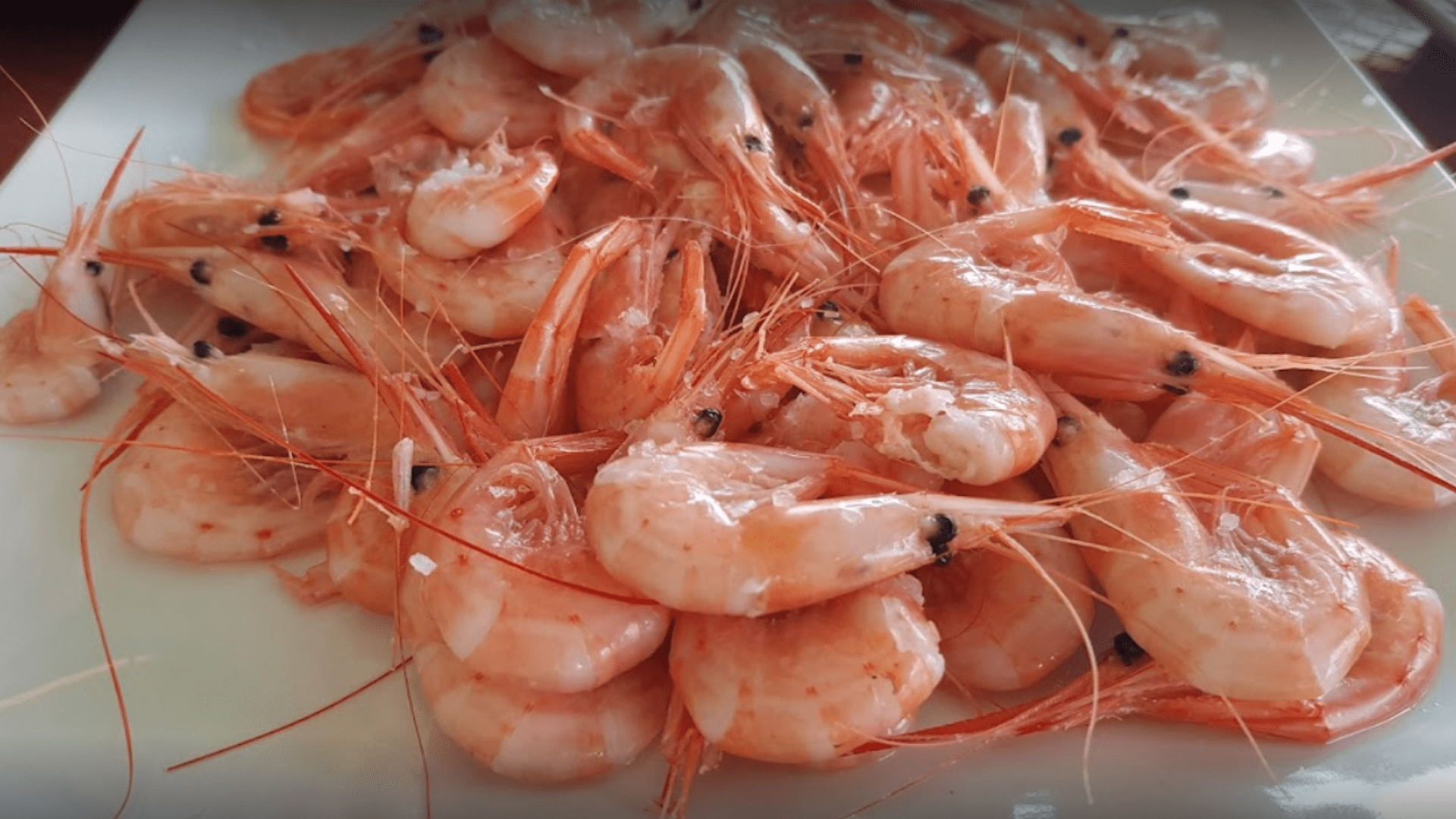 Merendero urbano El Costi