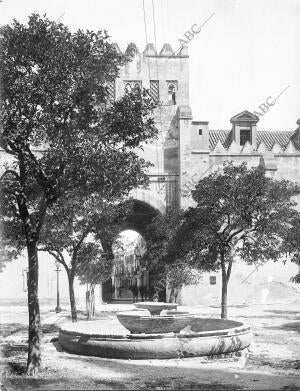 Patio de los Naranjos de la catedral A Principios del siglo Xx