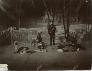 El circo de Parish. La focas amaestradas por Mr. Dihanaff