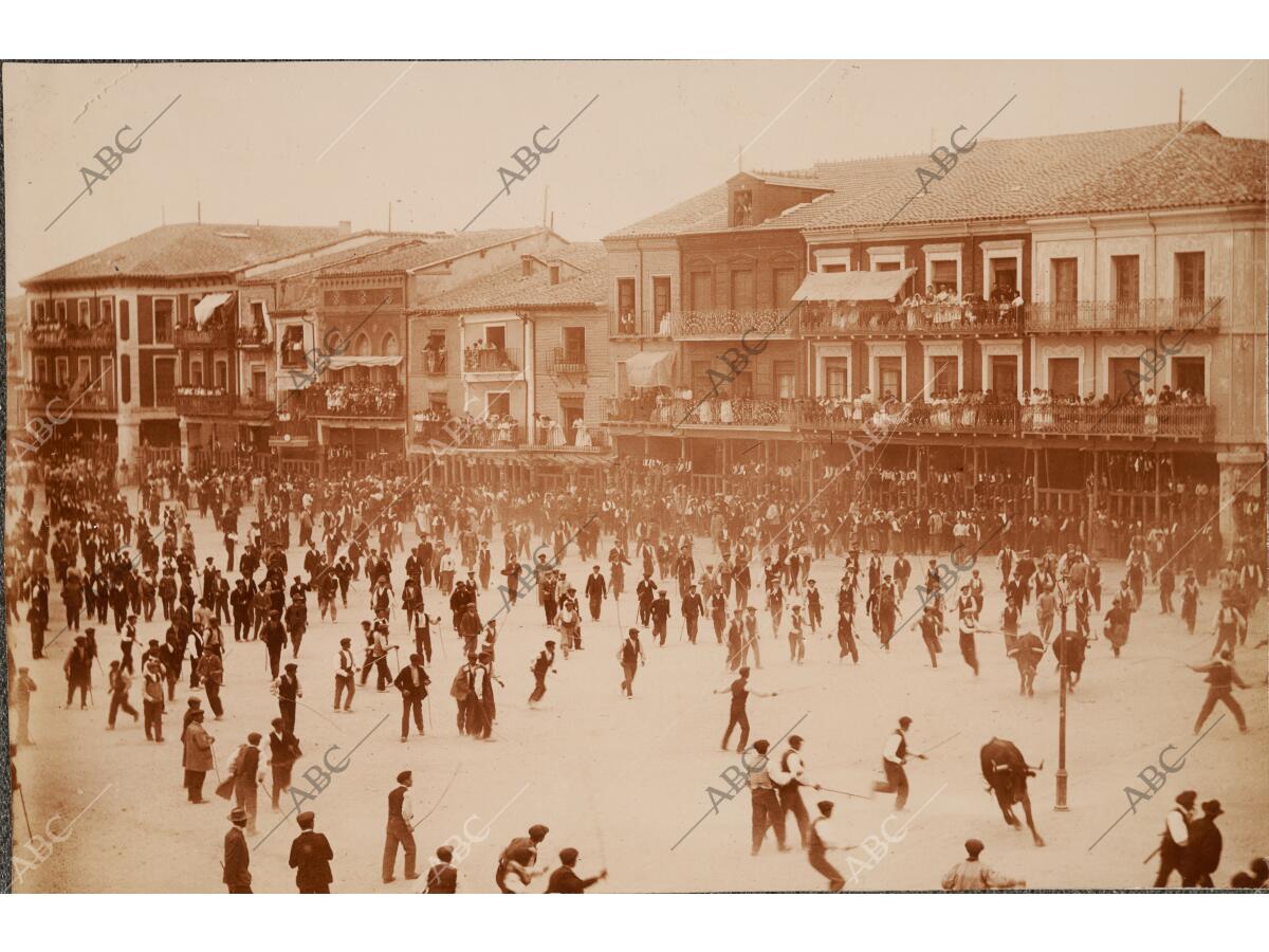 Corrida de novillos celebradas por la feria de Medina del Campo ...