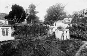 El viaje del Rey A Canarias. El pueblo de las Nieves (las Palmas)