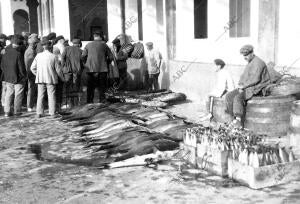 Portil (Huelva). 1910 (CA.). Pesca con jábega. Imagen que muestra la pesca del...