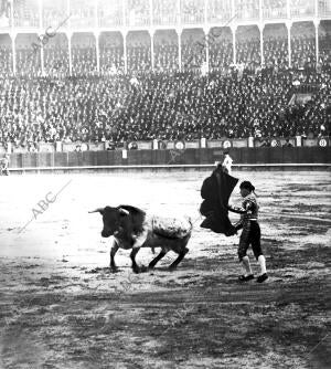 Rafael Gómez(Gallito) Lanceando de capa A uno de sus Toros