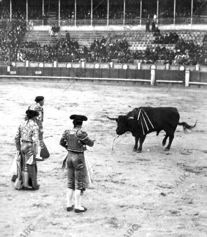 Celita Viendo morir A su segundo Toro, quinto de la Corrida, después de una...