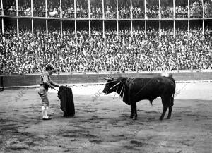 Celita Citando para un pase