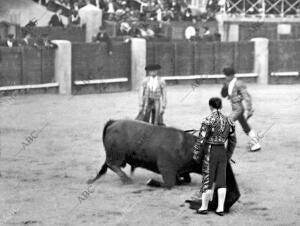 Ostioncito Viendo doblar A uno de sus Toros