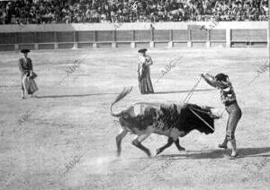 Cabra. Manolete Poniendo un par de Banderillas