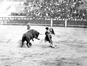 El diestro Eusebio Fuentes Lanceando por Verónicas A su primer Toro